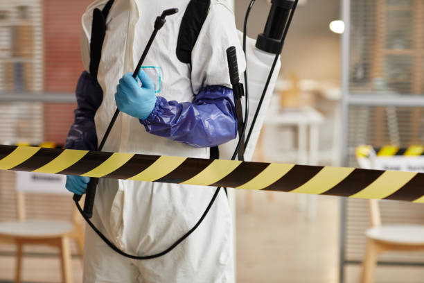 Professional Odor Removal technician working in Myton, UT